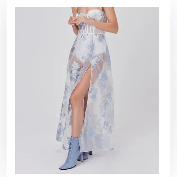 NWT For Love & Lemons Cody Organza Sheer Dress, White and Icicle Blue - XL - Picture 8 of 15